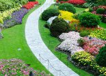 Landscaping Foxy`s Landscapes