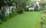 Inspired Outdoor Living Lawn and Turf