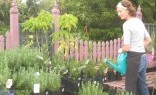 Inspired Outdoor Living Plant Nursery