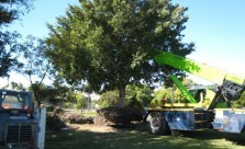 The Landscaper Tree Management Services Kwikfynd